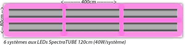 eclairage-horticole-aux-leds-exemple-installation2