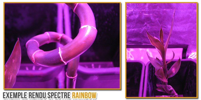eclairage-horticole-spectre-rainbow