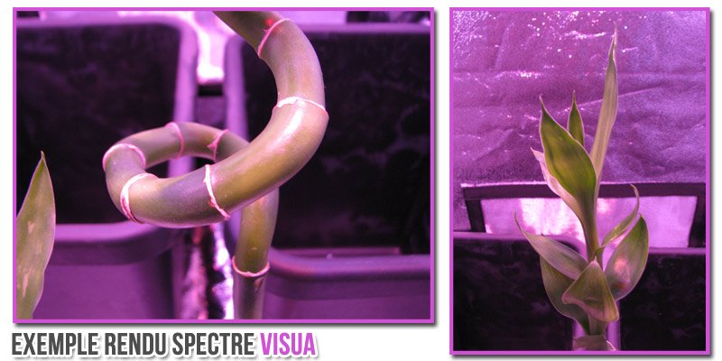 eclairage-horticole-spectre-visua
