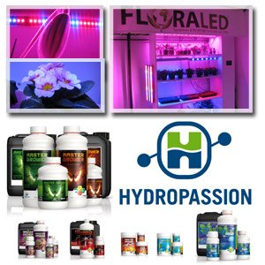 partenariat floraled hydropassion