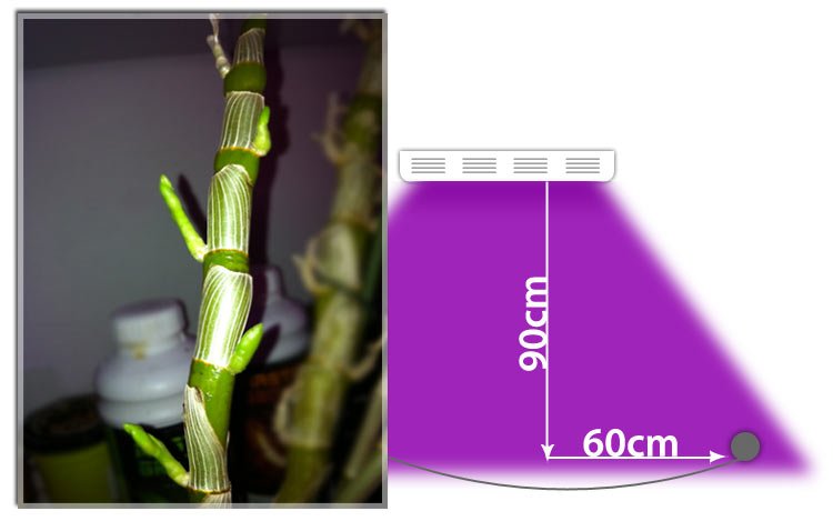 orchidees eclairage horticole led floraled
