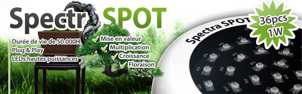 Eclairage LED horticole spectraspot pour bonsai