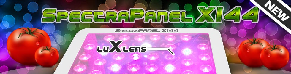 Nouveau système d'éclairage aux LEDs pour la culture en intérieur