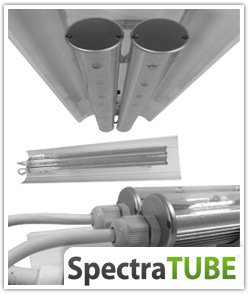 spectratube eclairage horticole led