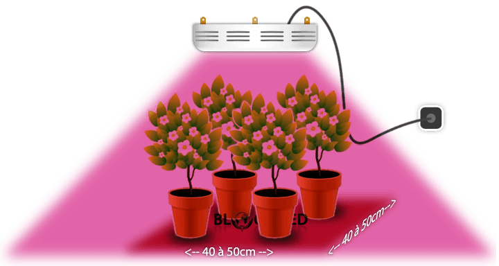 superficie-spectraspot-eclairage-horticole-led-36