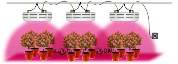 systeme-eclairage-led-horticole-modulaire
