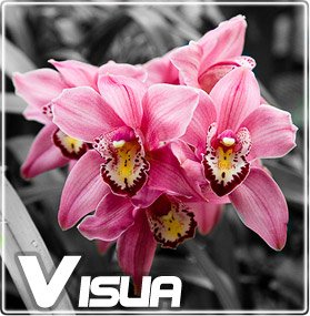 spectre-visua-eclairage-horticole