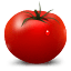tomate-horticole-led