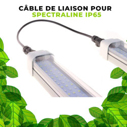 SpectraLINE IP65 Waterproof Connection Cable