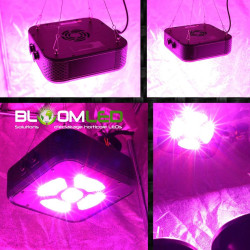 SpectraMODULE X135 - Système d'éclairage horticole LED compatible avec la console de gestion de spectre et d'intensité