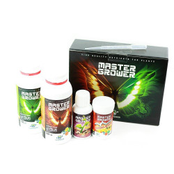 Plug & Grow - Paquete completo X160 + Box 60x60 - ¡Comienza tu cultura sin esperar!