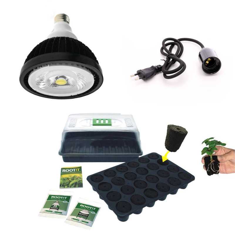 Pack bouturage ampoule horticole LED