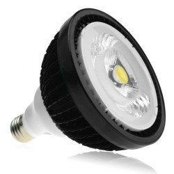 Ampoule horticole LED 20W pour la culture en intérieur - E27 - SpectraBULB X20 V2