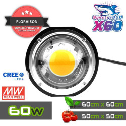 Plug & Grow - Paquete completo X60 + Box 60x60 + Filtro de carbón - ¡Comience su cultura sin esperar!