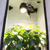 SpectraBUD X120 - Lampe horticole LED haut de gamme, étanche et silencieuse pour la culture de plantes