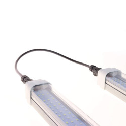 Pack x3 - SpectraLINE IP65 30cm - 10W con cable de conexión