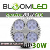 Pack HomeLAB 40 - SpectraBULB X30 BL - Cable 100cm - Thermo hygro
