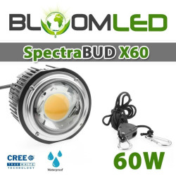 HomeLAB 40 Pack - SpectraBUD X60