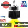 Paquete HomeLAB 40 - SpectraBUD X60 BL - Programador