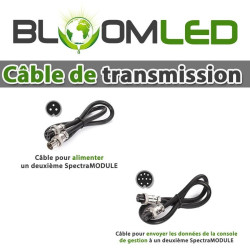 Câbles pour relier deux systèmes SpectraMODULE