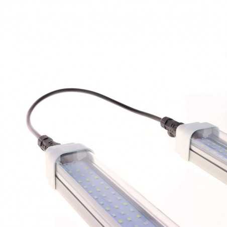 Complete Cloning Pack Propagator XL + 5 SpectraLINE IP65 | BloomLED