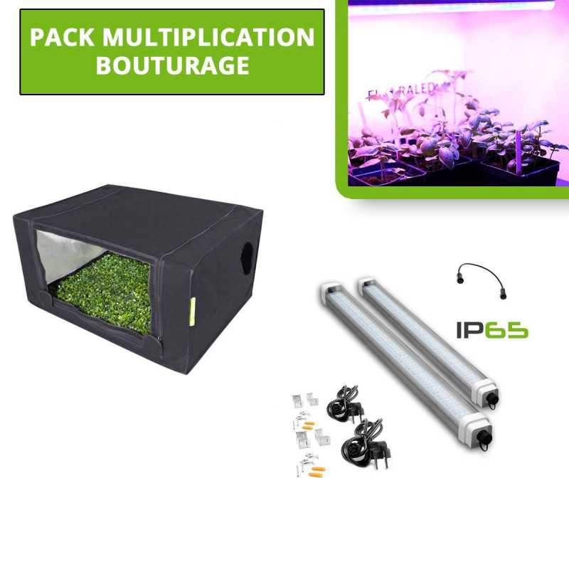 Probox Propagator M - 80 x 60 x 40