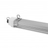 Propagador de interior M + 2 SpectraLINE IP65 Paquete de cultivo interior de 60 cm + 1 cable de conexión
