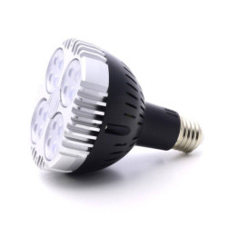 OSRAM 30W LED-Gartenbaulampe - SpectraBULB X30