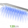 20cm connection cable for SpectraLINE