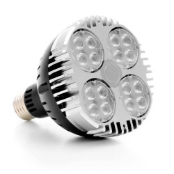 OSRAM 30W LED-Gartenbaulampe - SpectraBULB X30