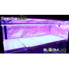 Pack de esquejes - SpectraLINE 120cm x3 - Iluminación hortícola LED para plantas jóvenes y esquejes