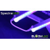 Pack de esquejes - SpectraLINE 120cm x3 - Iluminación hortícola LED para plantas jóvenes y esquejes