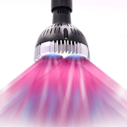 LED horticultural bulb OSRAM 30W - SpectraBULB X30