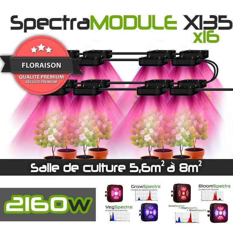 Pack Expert SpectraMODULE X135 x4 + console de gestion tactile