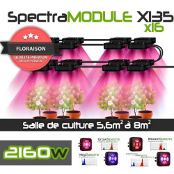 BloomLED Management Console to SpectraMODULE - Management of the timeout, the intensity and spectrum