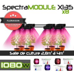 SpectraMODULE X135 x8 Kulturraumpaket + Touch-Management-Konsole