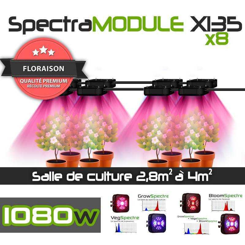 Pack Expert SpectraMODULE X135 x4 + console de gestion tactile