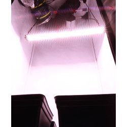 Programmateur mecanique 24H/15min