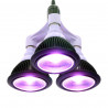 Pack ampoule horticole LED pour plantes SpectraBULB X20 x3pcs