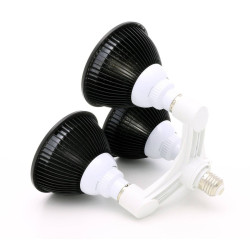 El paquete completo para 3 bombillas SpectraBULB X20 - Listo para su uso