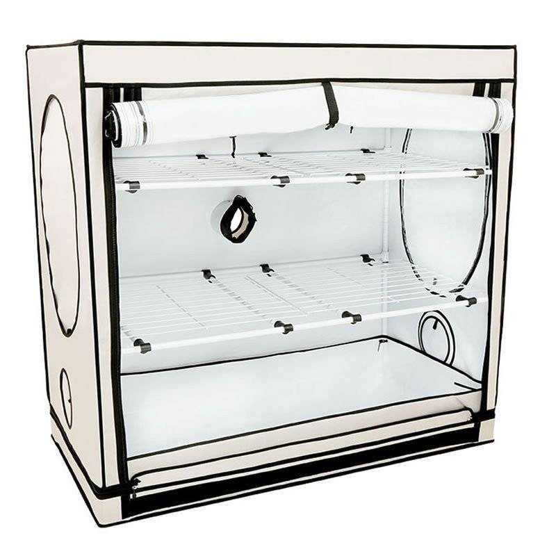 HomeBox Vista Medium 125x65x120cm grow tent - BloomLED