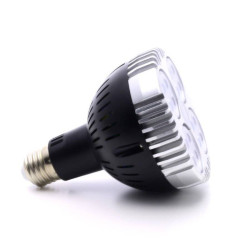 OSRAM 30W LED-Gartenbaulampe - SpectraBULB X30