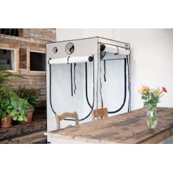 HomeBOX Ambient Q120 - Box de culture