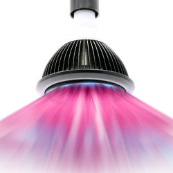 SpectraBULB X20 - LED Grow Bulb E27