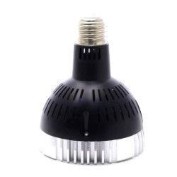 OSRAM 30W LED-Gartenbaulampe - SpectraBULB X30