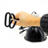 Paquete de bombillas SpectraBULB X30 + abrazadera con casquillo E27