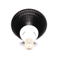 El paquete completo para 3 bombillas SpectraBULB X20 - Listo para su uso