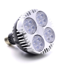 OSRAM 30W LED-Gartenbaulampe - SpectraBULB X30