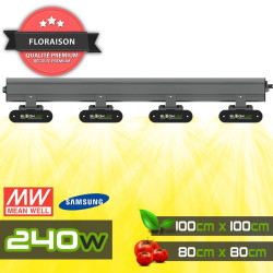 SpectraWILD S240