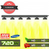 SpectraWILD S240